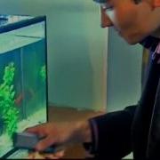 Ринат Сатбаев Жазыгым Не Клип 2008 Ж