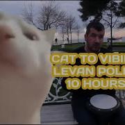 Cat Vibing To Ievan Polkka 10 Hours