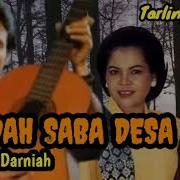 Saeda Saeni