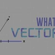 Vektor