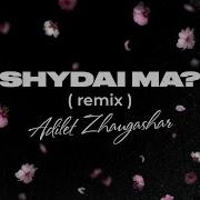 Adilet Zhaugashar Remix