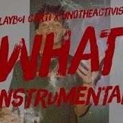 Playboi Carti X Unotheactivist What Instrumental