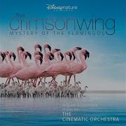The Cinematic Orchestra Soda