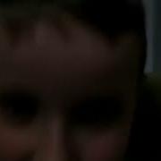 Мой Братан Тигр 24 На 7 Тигр Ееееее
