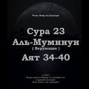 Кули Манил Арзу