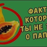Анжир Момосу Бейиштин Момосу