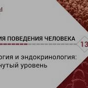 Биология Поведения Человека Лекция 13