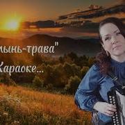 Минус Палынь Трава Под Гармонь