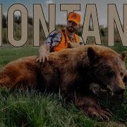 Blackbear