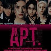 Stray Kids Cover Apt