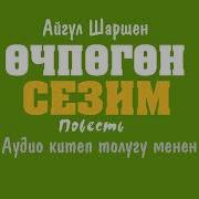 Кыргызча Китептер