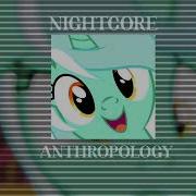 Anthropology Speed Up