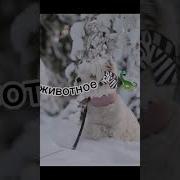 Я По Мнению Лп