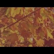 Lukas Termena Autumn Walk Original Mix