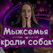 Лизонька Единорожка Украла Собаку