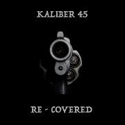 Kaliber 45 Hon Har