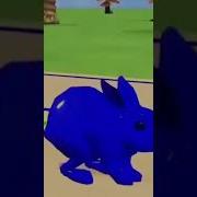 Наши Юные Смешные Пениса