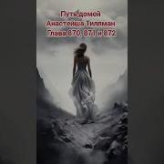 Путь Домой 870