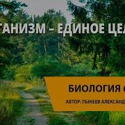 Организм Единое Целое 5 Класс