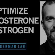 Testosterone