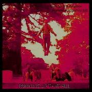 Kate Bush Running Up That Hill Chris Neth Dogtech