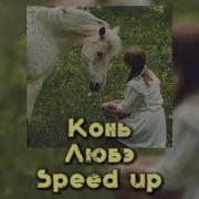 С Конем По Полю Идём Speed Up