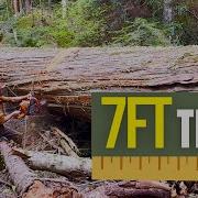 The Big Edit