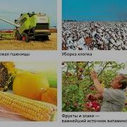 Параграф 17 Биология Пасечник 5 Класс