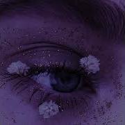 Lilacs Slowed
