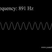 24Hz