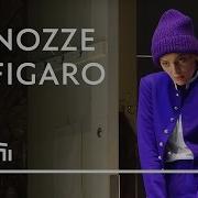 Le Nozze Di Figaro K 492 Voi Che Sapete