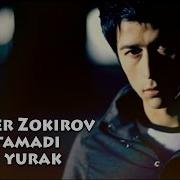 Алишер Зокиров Истамади Бу Юрак