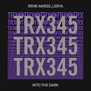 Rene Amesz Leiiya Into The Dark Extended Mix