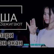 Oysha Yolgon Ekan 2020 Ойша Ёлгон Экан 2020