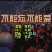 不能忘Dj刘芝怡