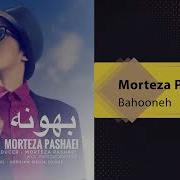 Morteza Pashaei 2023