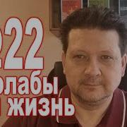 Александр Дробницкий