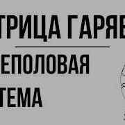 Матрица Гаряева Оздоровление Мочевого Пузыря