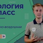 Биология 5 Класс 17 Параграф Наземно Воздушная Среда Обитания