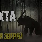 Вахта Земля Зверей Автор Сергей Борзов
