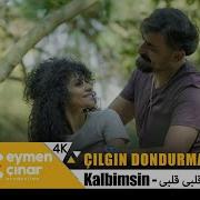 Çılgın Dondurmacı