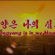 평양은 나의 심장