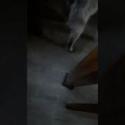 Talk Shit Katonclan Instrumental