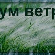 Шум Ветра И Музыка