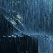 Rain On Window With Thunder Sounds Rain In Forest At Night Оригинал