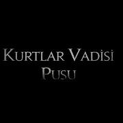 Kurtlar Vadisi Pusu 301