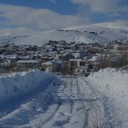 Ceylanım Nerdesin Âşık I Hsan Yavuzer