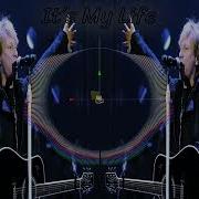 Bon Jovi It S My Life Roy Roa Remix