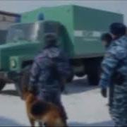 У Меня Есть Мать У Тебя Щенки Скачать