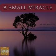 A Small Miracle Roman Kostiuk
